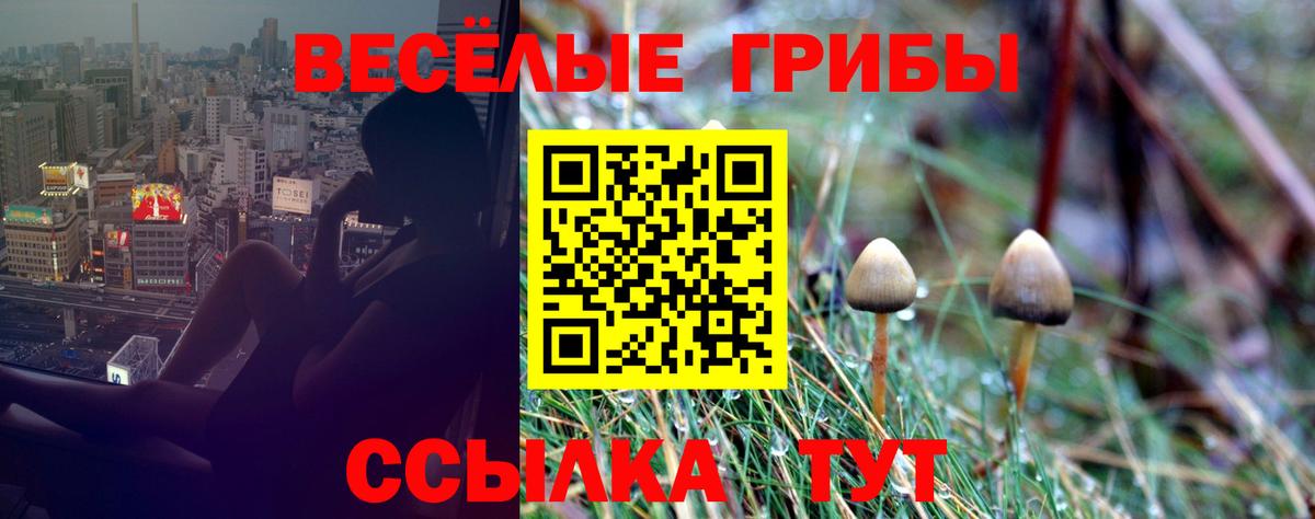 Псилоцибиновые грибы Psilocybine cubensis  Вход с VPN  наркошоп  Псилоцибиновые грибы MAGIC MUSHROOMS  Жигулёвск 