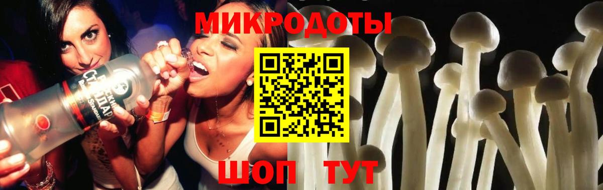 Псилоцибиновые грибы Psilocybe Жигулёвск